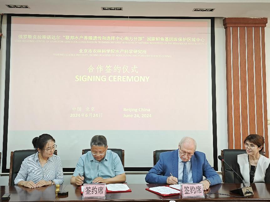 图片3.jpg 图片3.jpg