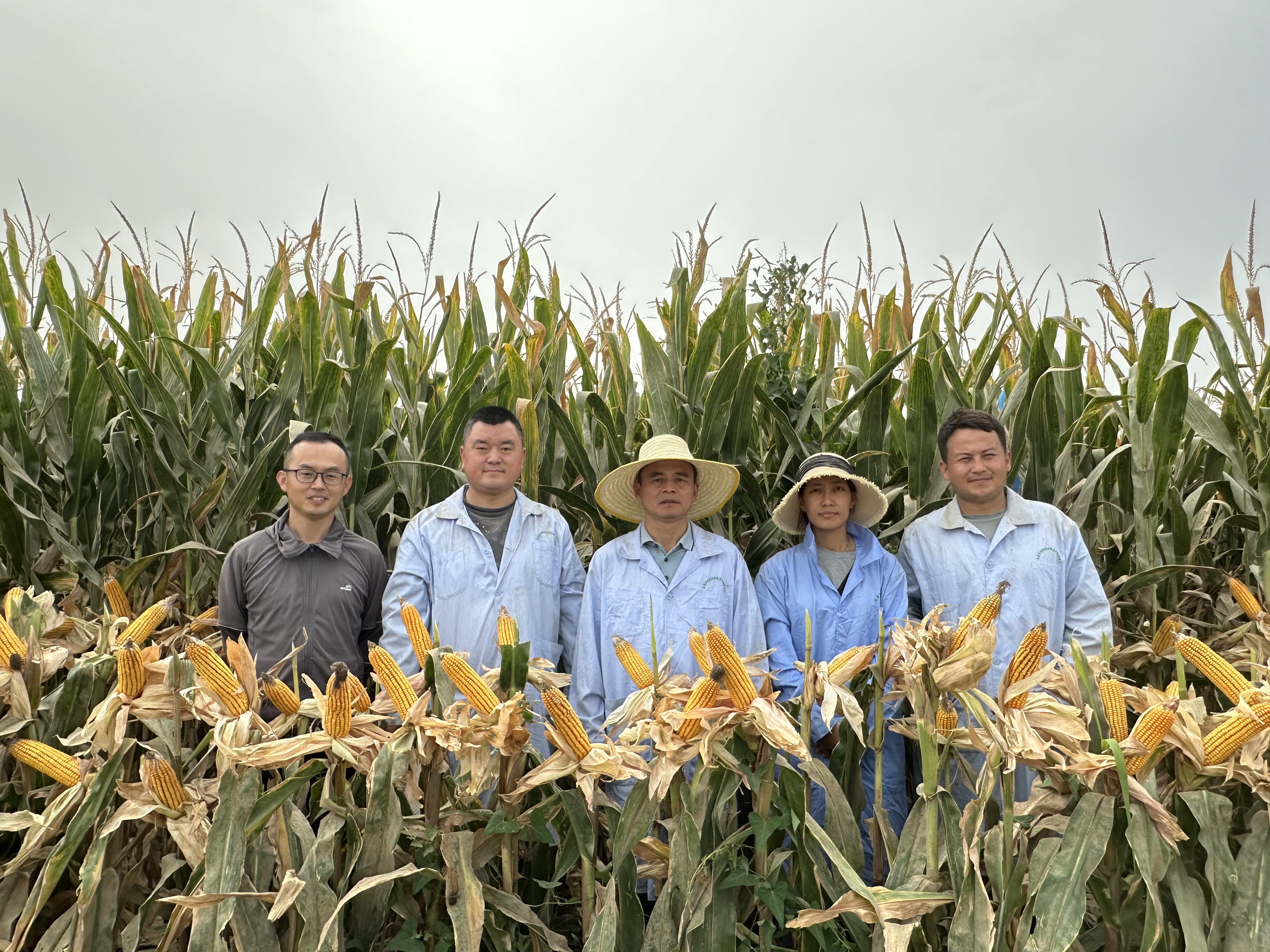 微信图片_20240905163640.jpg 微信图片_20240905163640.jpg