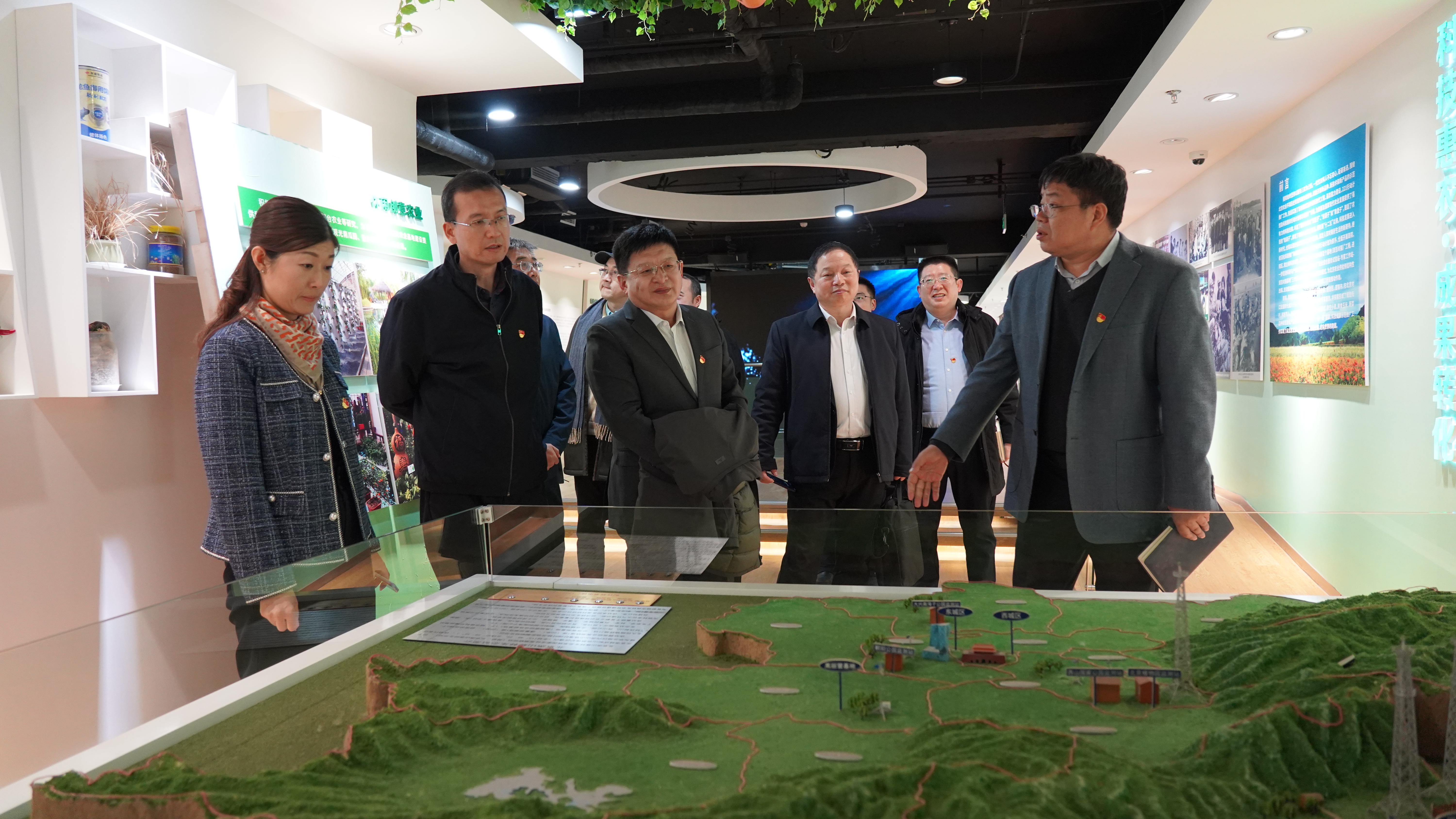 DSC09241.JPG DSC09241.JPG