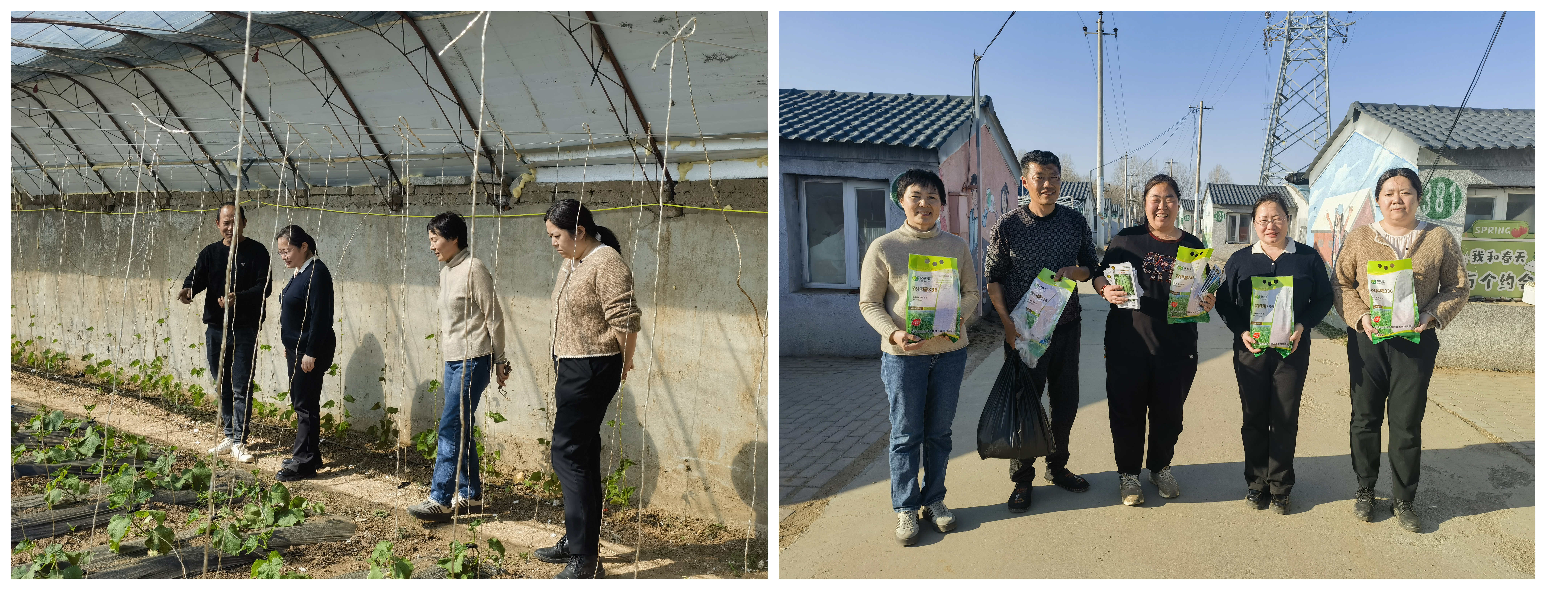 拼图2.jpg 拼图2.jpg