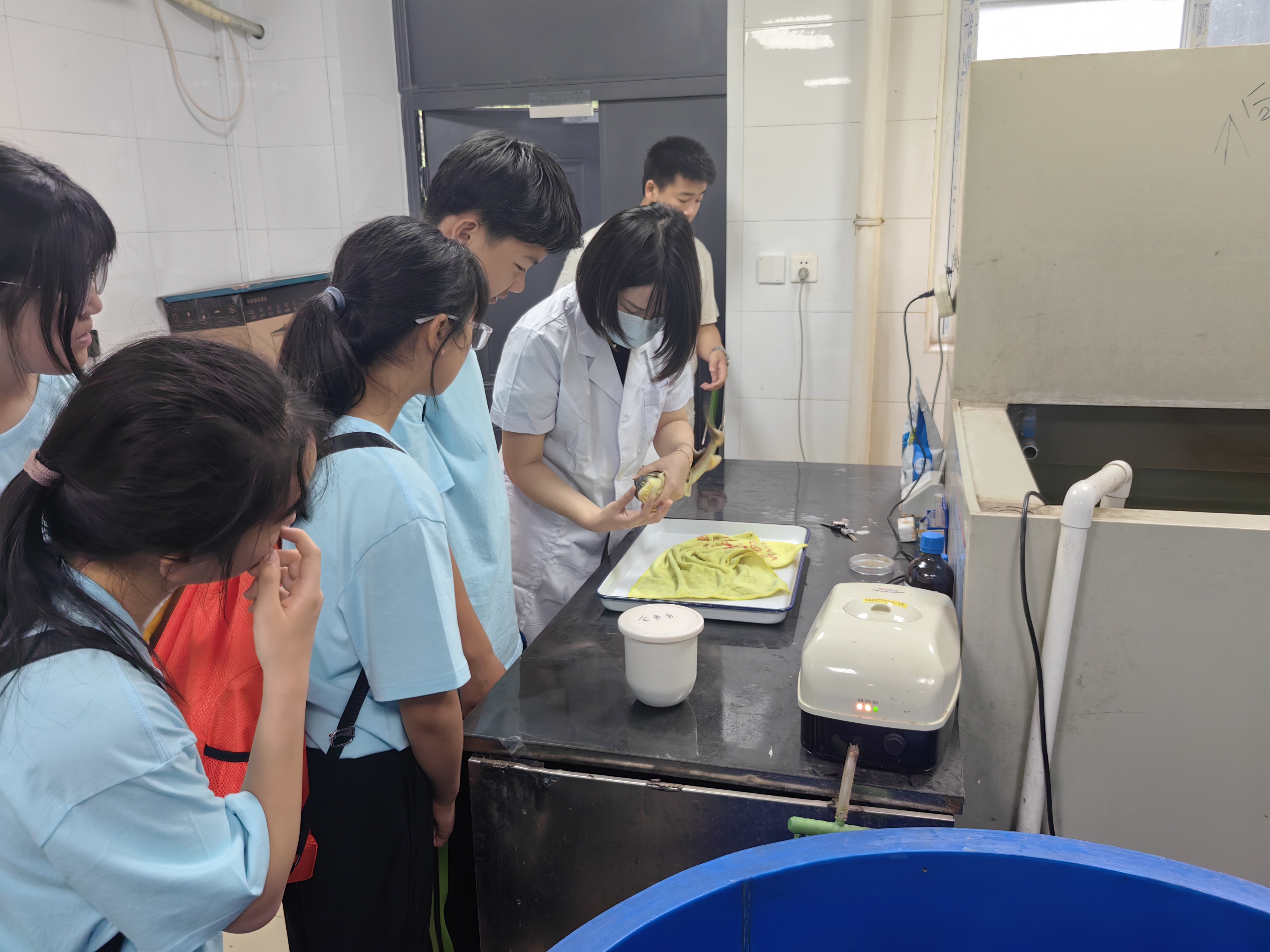 微信图片_20240709183118.jpg 微信图片_20240709183118.jpg