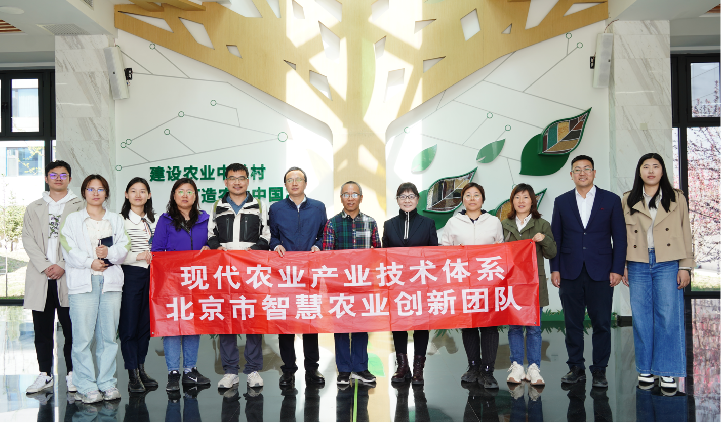 图片17.png 图片17.png