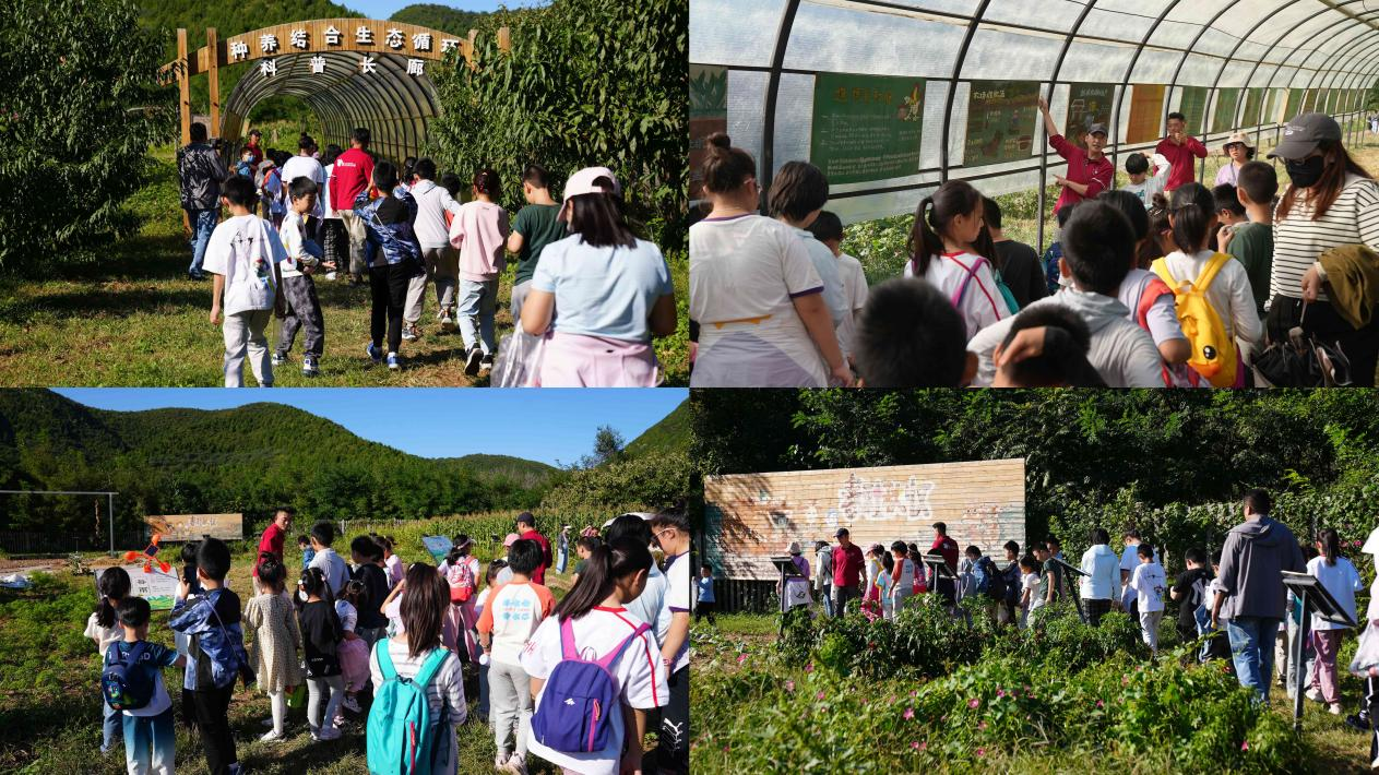 种养循环区.png 种养循环区.png