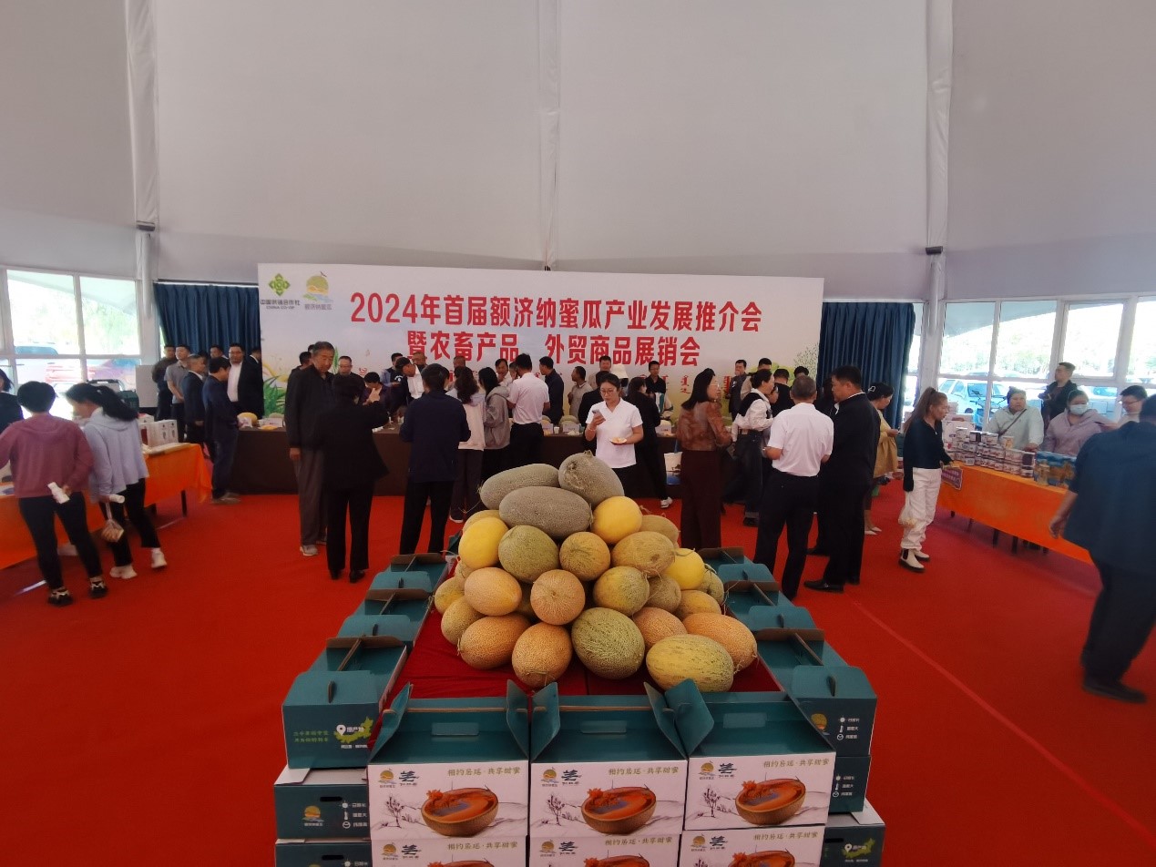 额济纳旗2.jpg 额济纳旗2.jpg