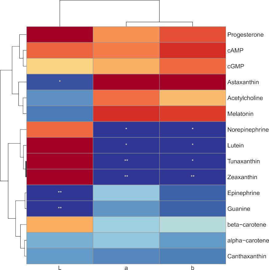 锦鲤3.jpg 锦鲤3.jpg