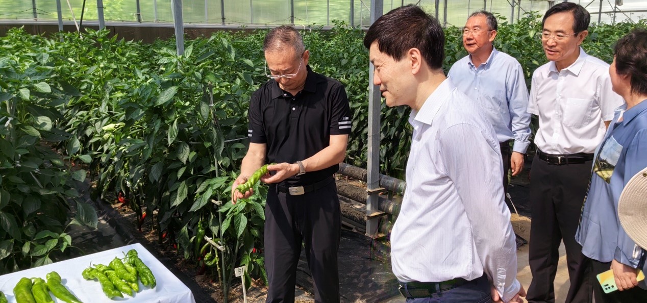 图片3-2.jpg 图片3-2.jpg