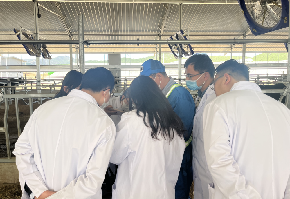 图片16.png 图片16.png