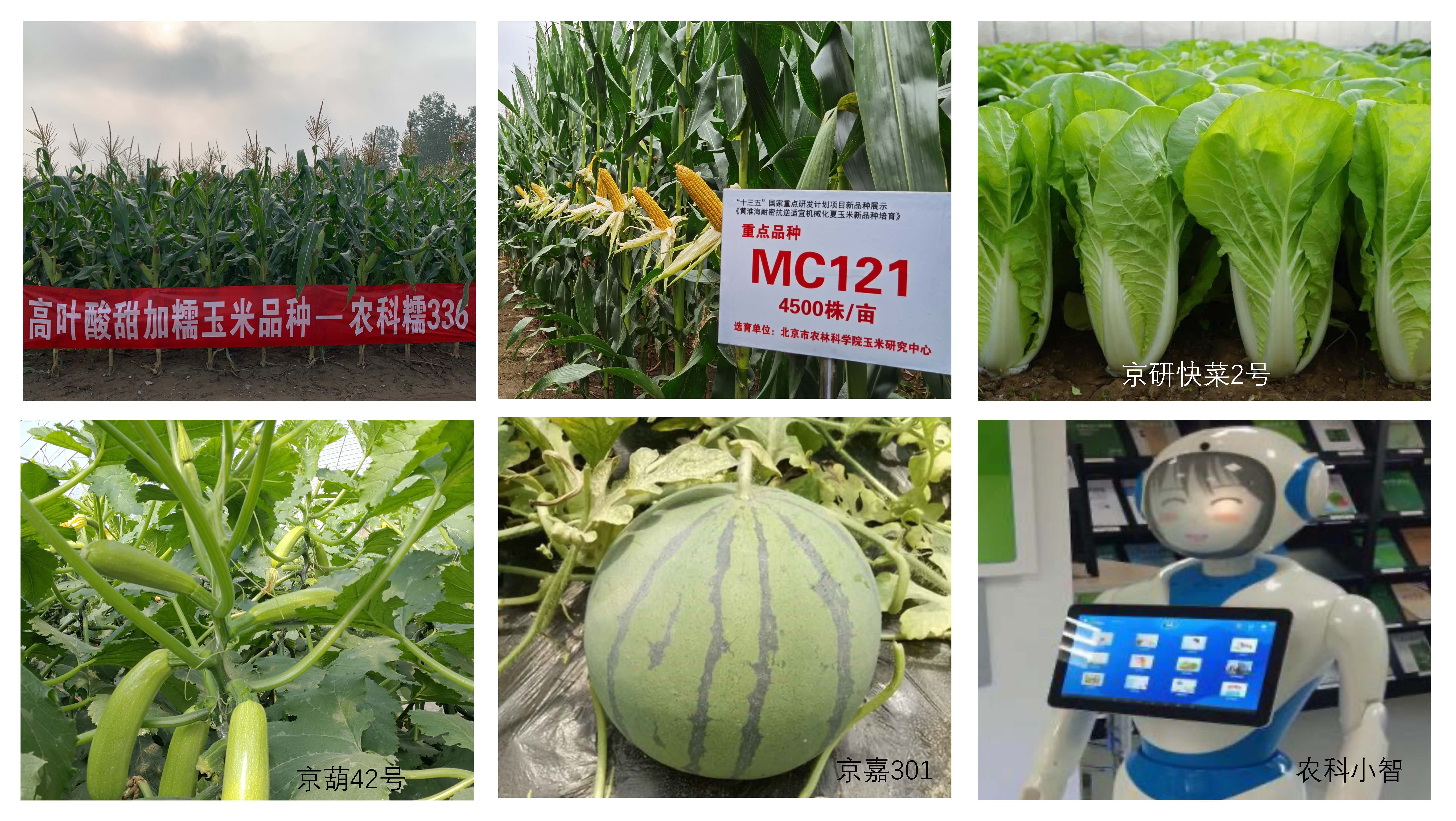 演示文稿2_页面_2.jpg 演示文稿2_页面_2.jpg