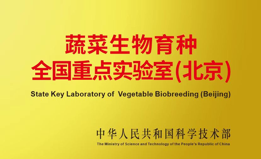 蔬菜生物育种全国重点实验室.jpg