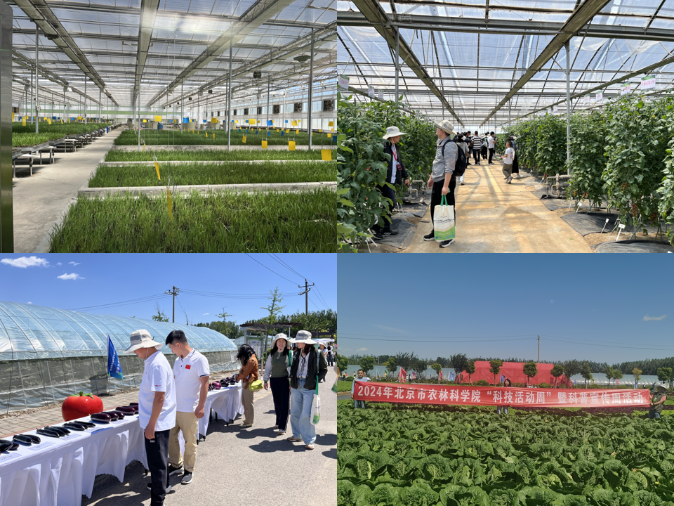 幻灯片1.png 幻灯片1.png