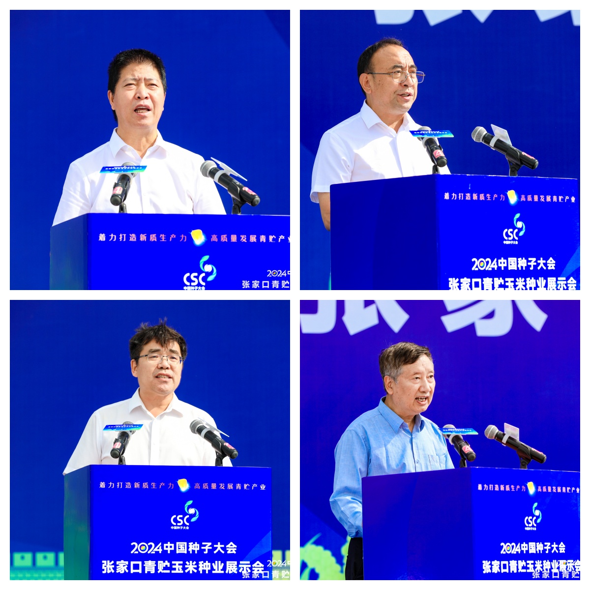 拼图1.jpg 拼图1.jpg