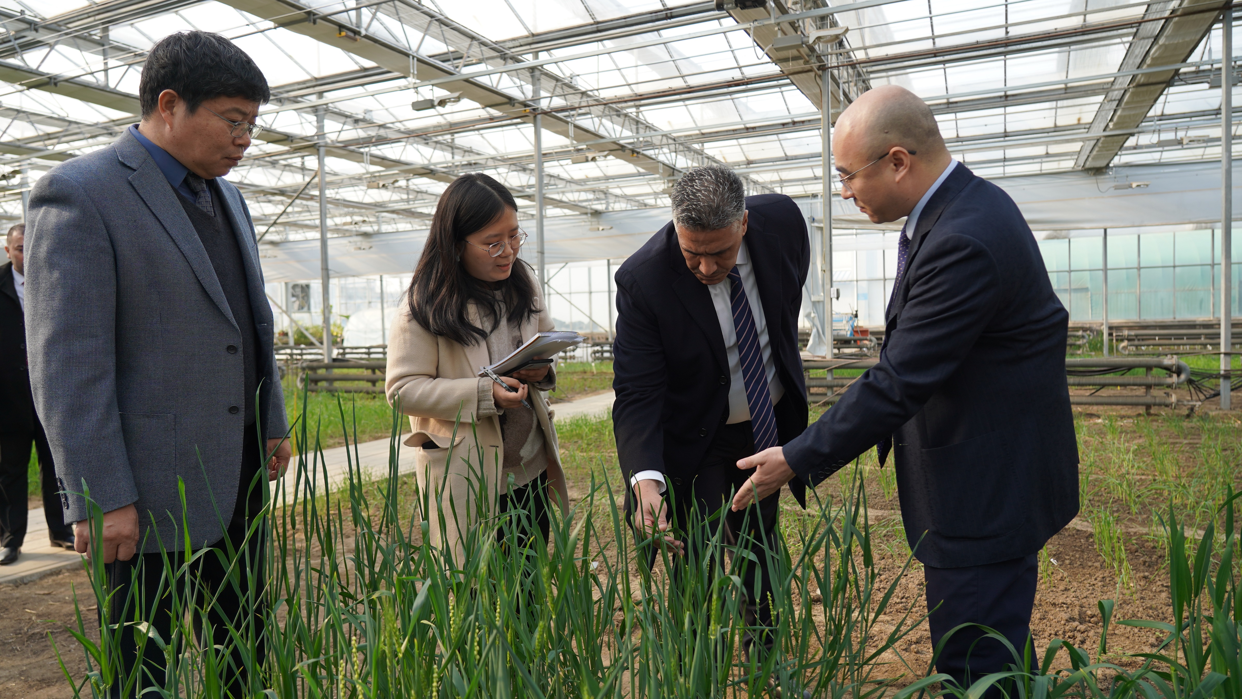 DSC02355.JPG DSC02355.JPG