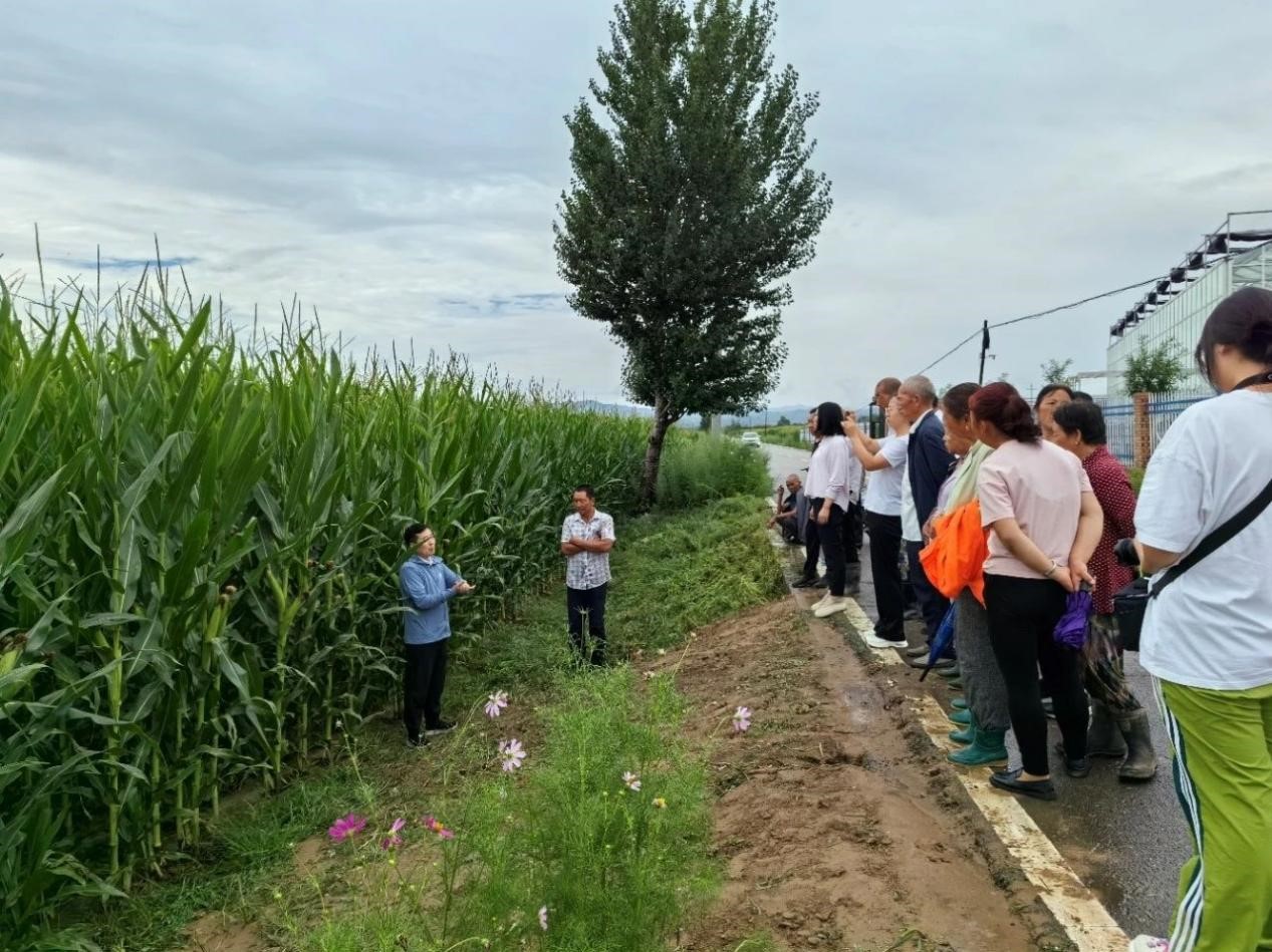 图片a2.jpg 图片a2.jpg