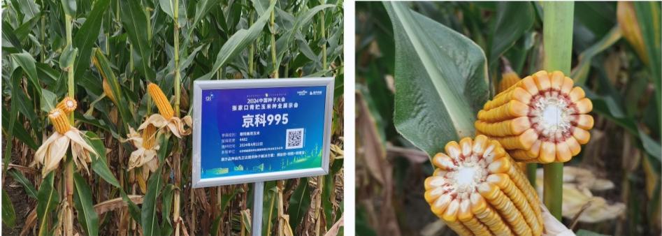 未命名.jpg 未命名.jpg