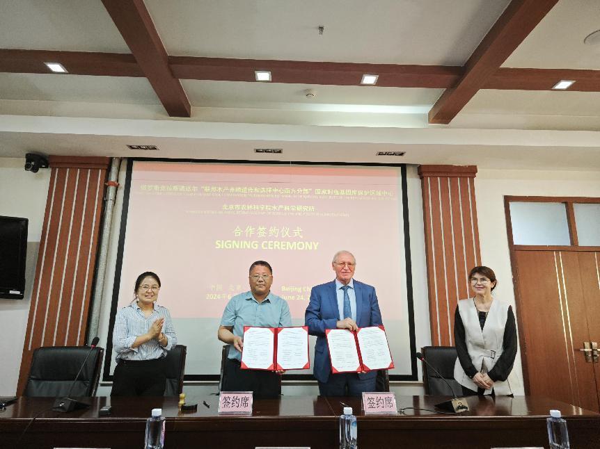 图片4.jpg 图片4.jpg