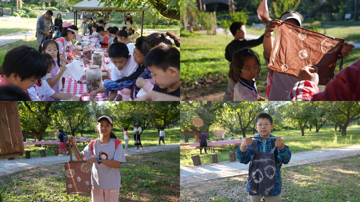 扎染.png 扎染.png