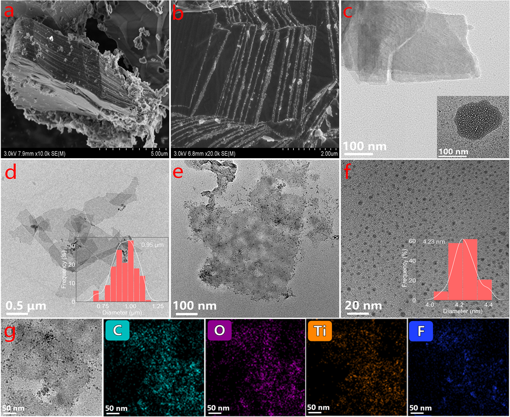 图片7.png 图片7.png