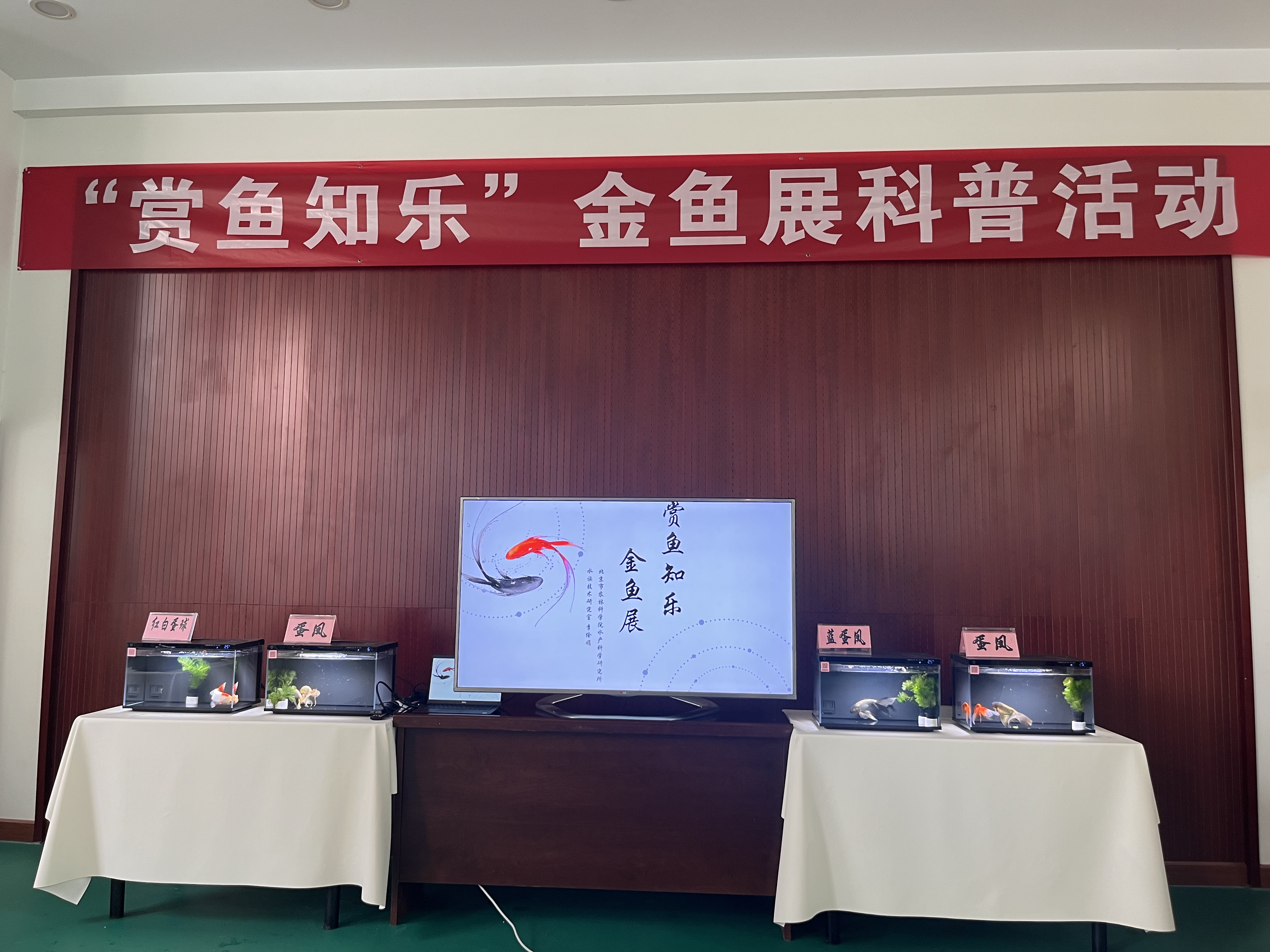 微信图片_20240624155847.jpg 微信图片_20240624155847.jpg