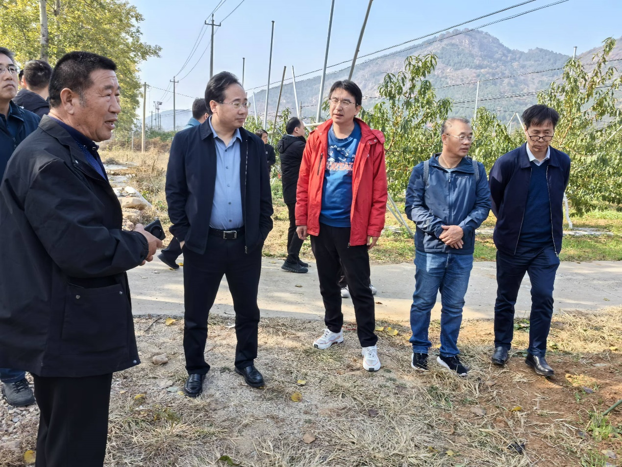 图片 1.png 图片 1.png