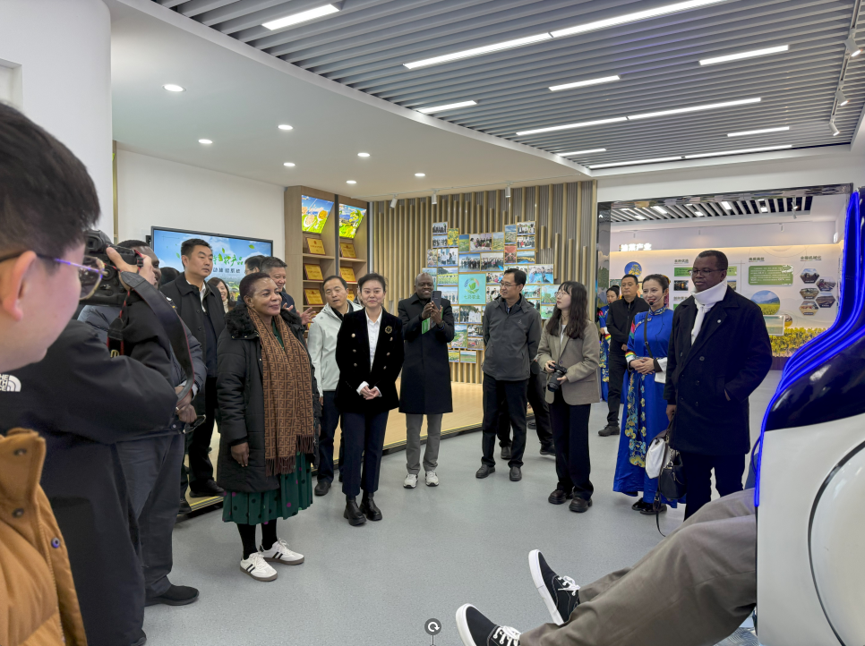 1730713390005.png 1730713390005.png