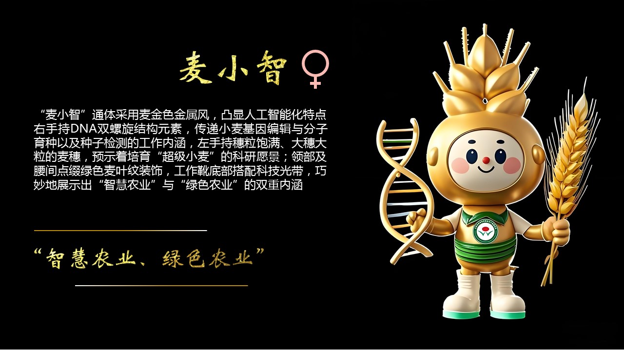 吉祥物介绍页-麦小智.jpg 吉祥物介绍页-麦小智.jpg