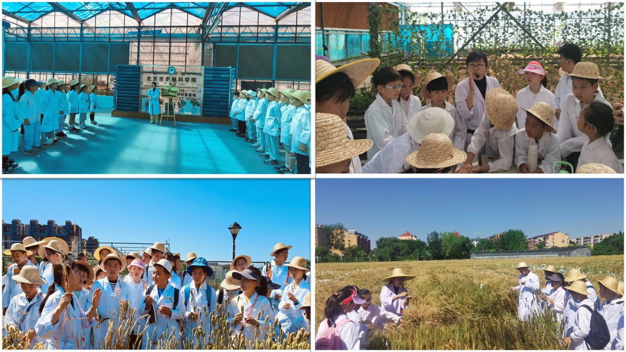 幻灯片3.JPG 幻灯片3.JPG