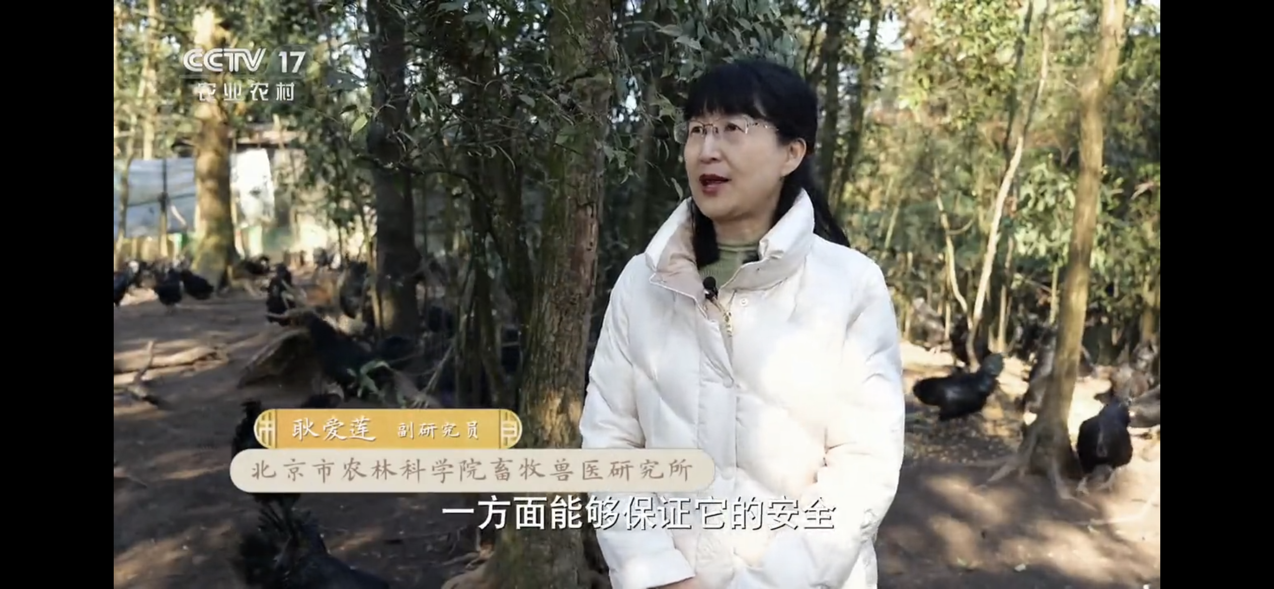 3b46f74d032b9b9ce6ea5ca63f6a66f.png 3b46f74d032b9b9ce6ea5ca63f6a66f.png