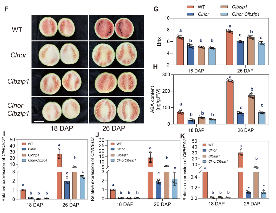 图片2.png 图片2.png