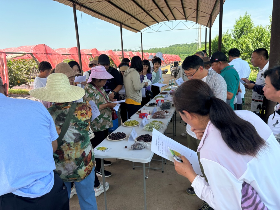 图片 4.png 图片 4.png