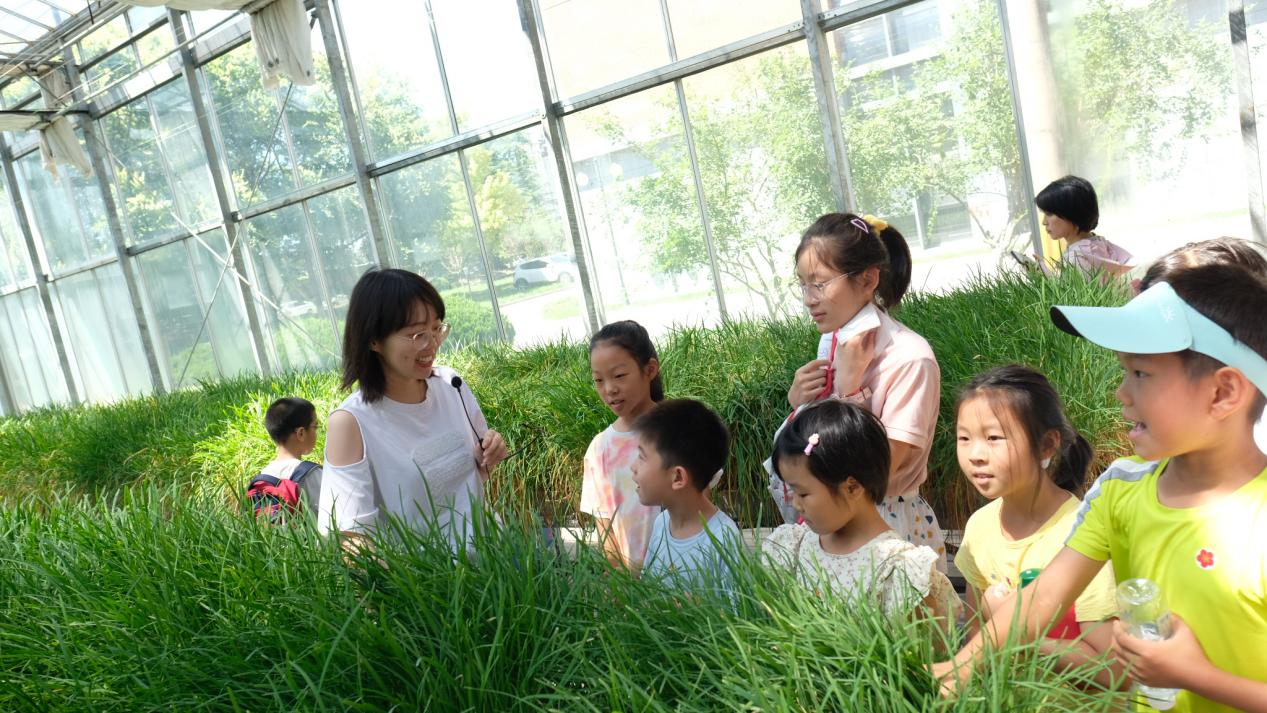 图片4.png 图片4.png