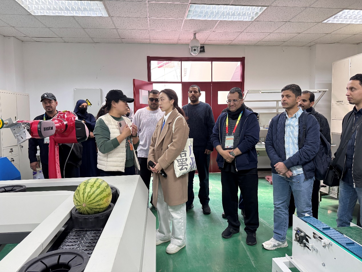 图片9.png 图片9.png