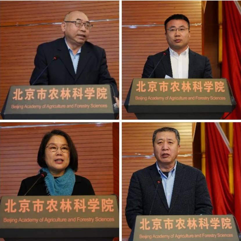 1709202390733.png 1709202390733.png