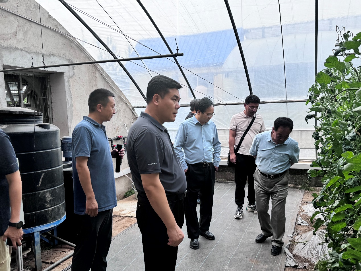 图片6.png 图片6.png