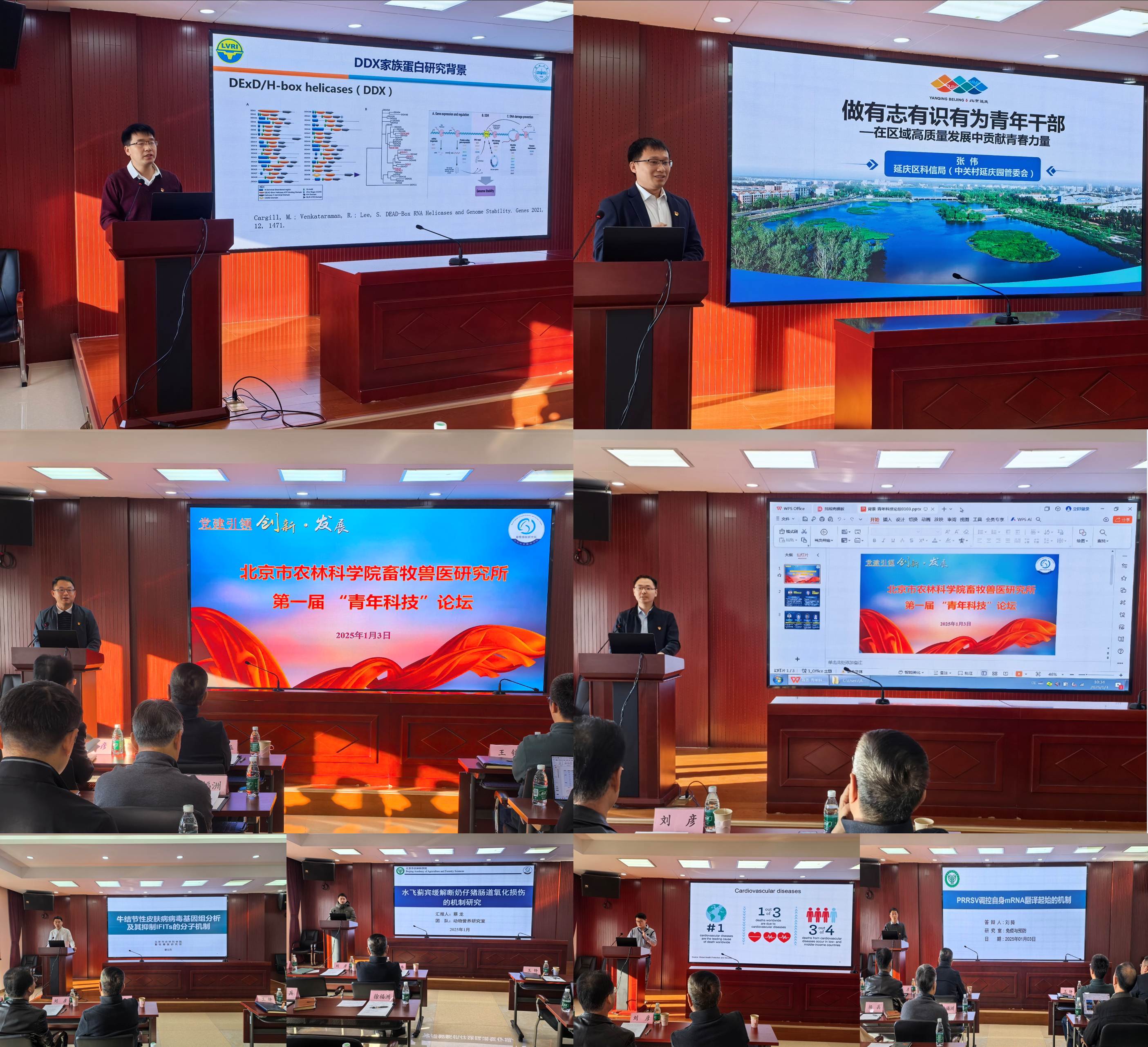 图片2.jpg 图片2.jpg