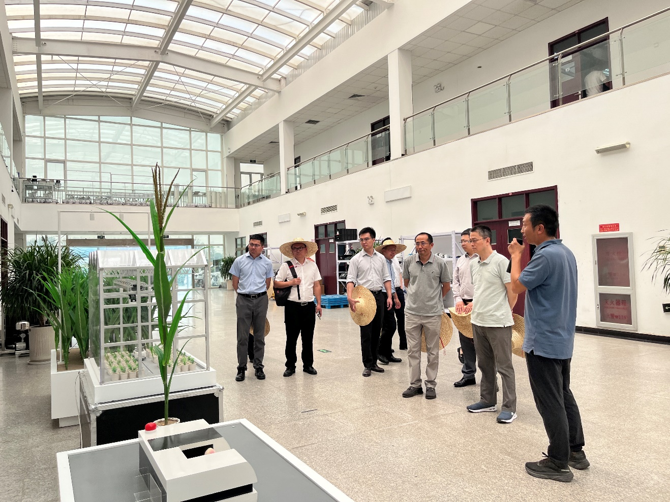 图片5.png 图片5.png