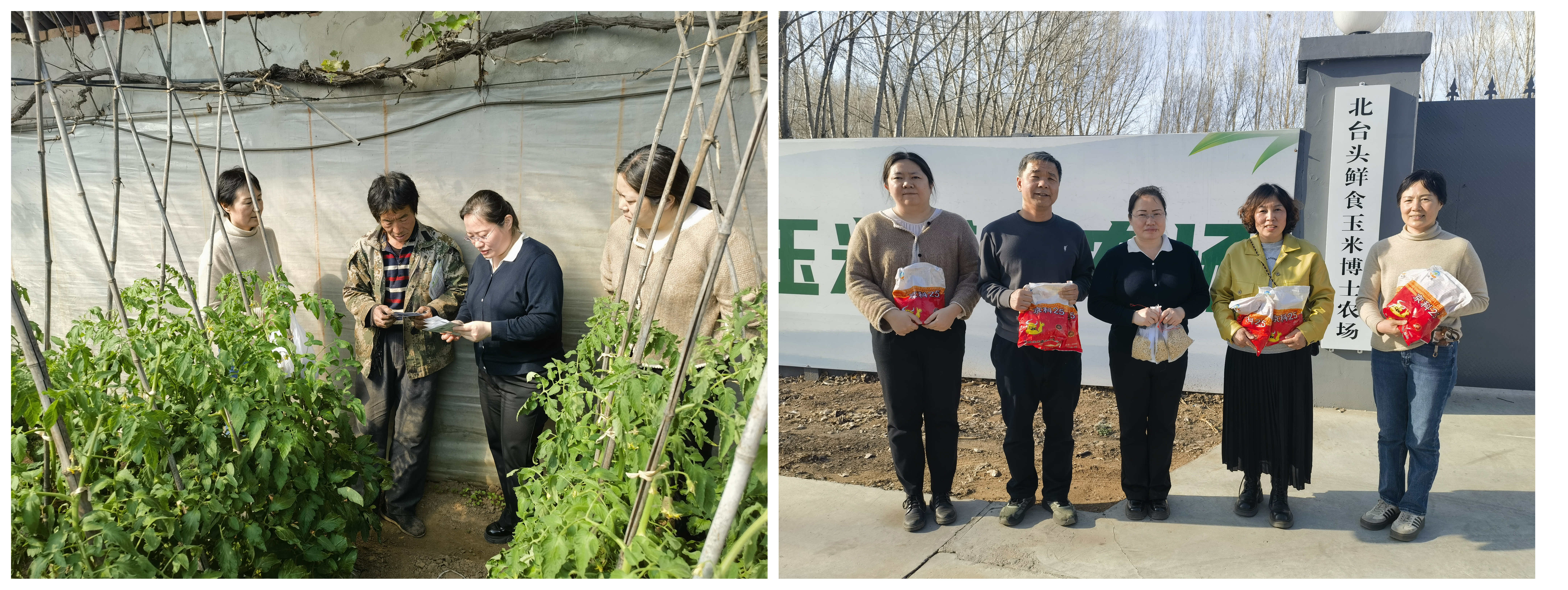 拼图1.jpg 拼图1.jpg