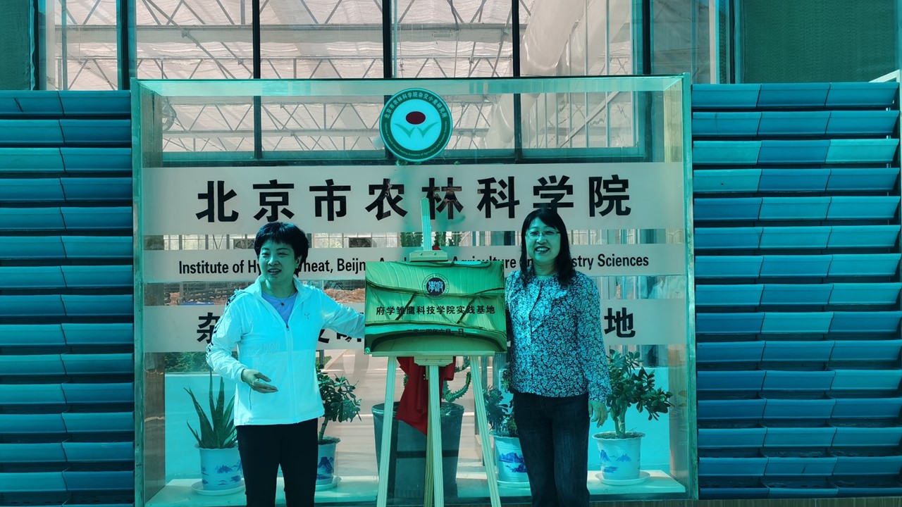 幻灯片2.JPG 幻灯片2.JPG