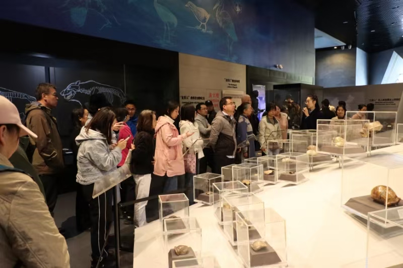 微信图片_20241107135310.jpg 微信图片_20241107135310.jpg