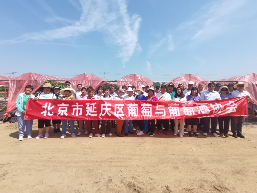 图片 1.png 图片 1.png