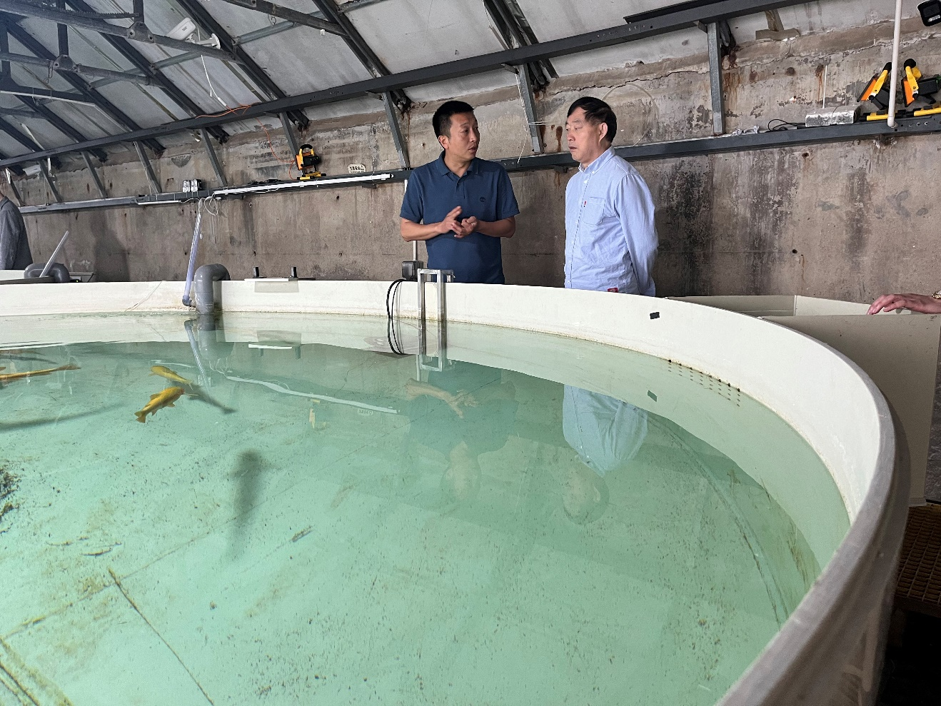 图片10.png 图片10.png