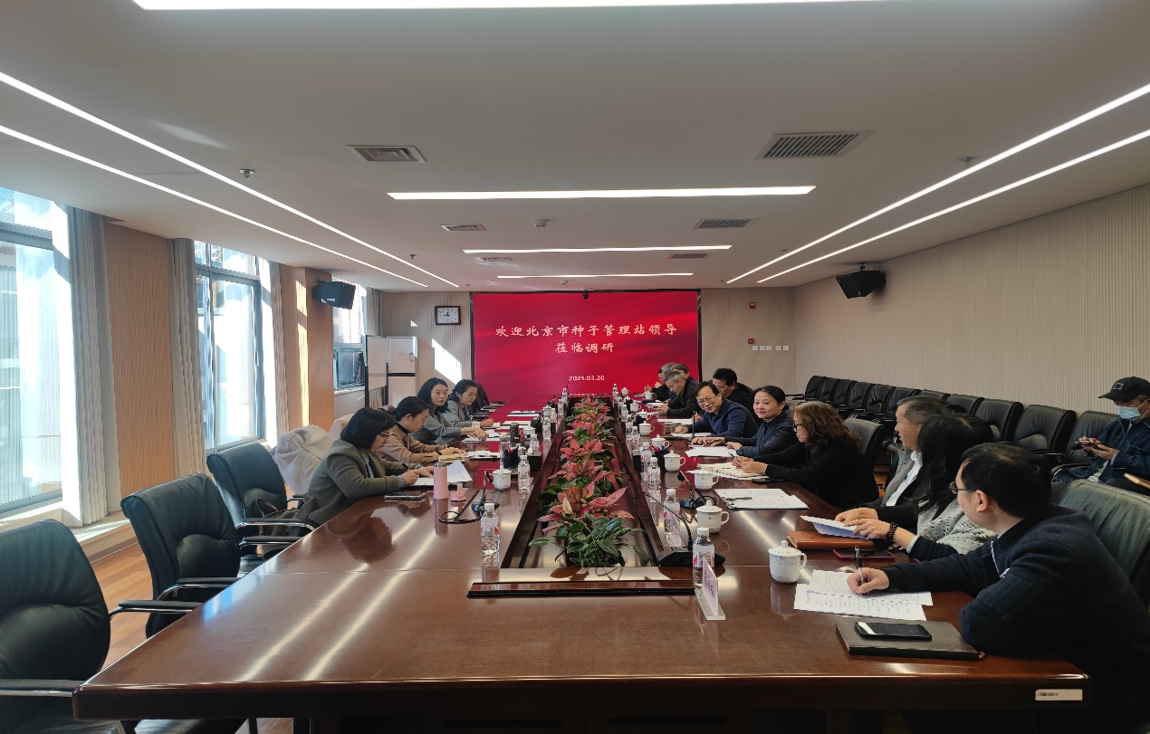 种子站1.png 种子站1.png