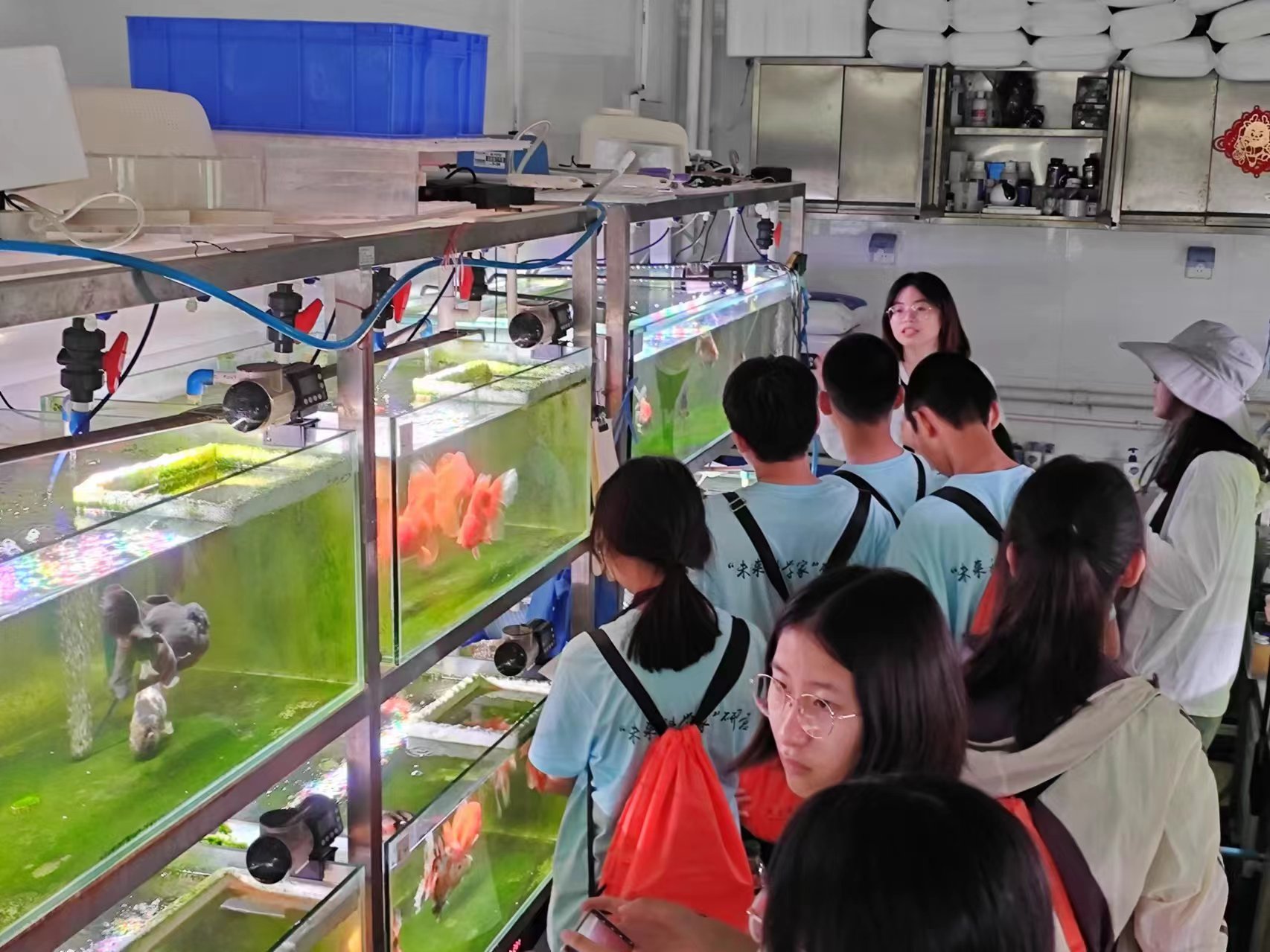 微信图片_20240705173715.jpg 微信图片_20240705173715.jpg