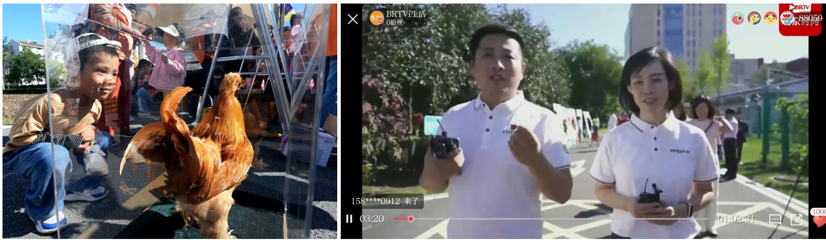 屏幕截图3.png 屏幕截图3.png