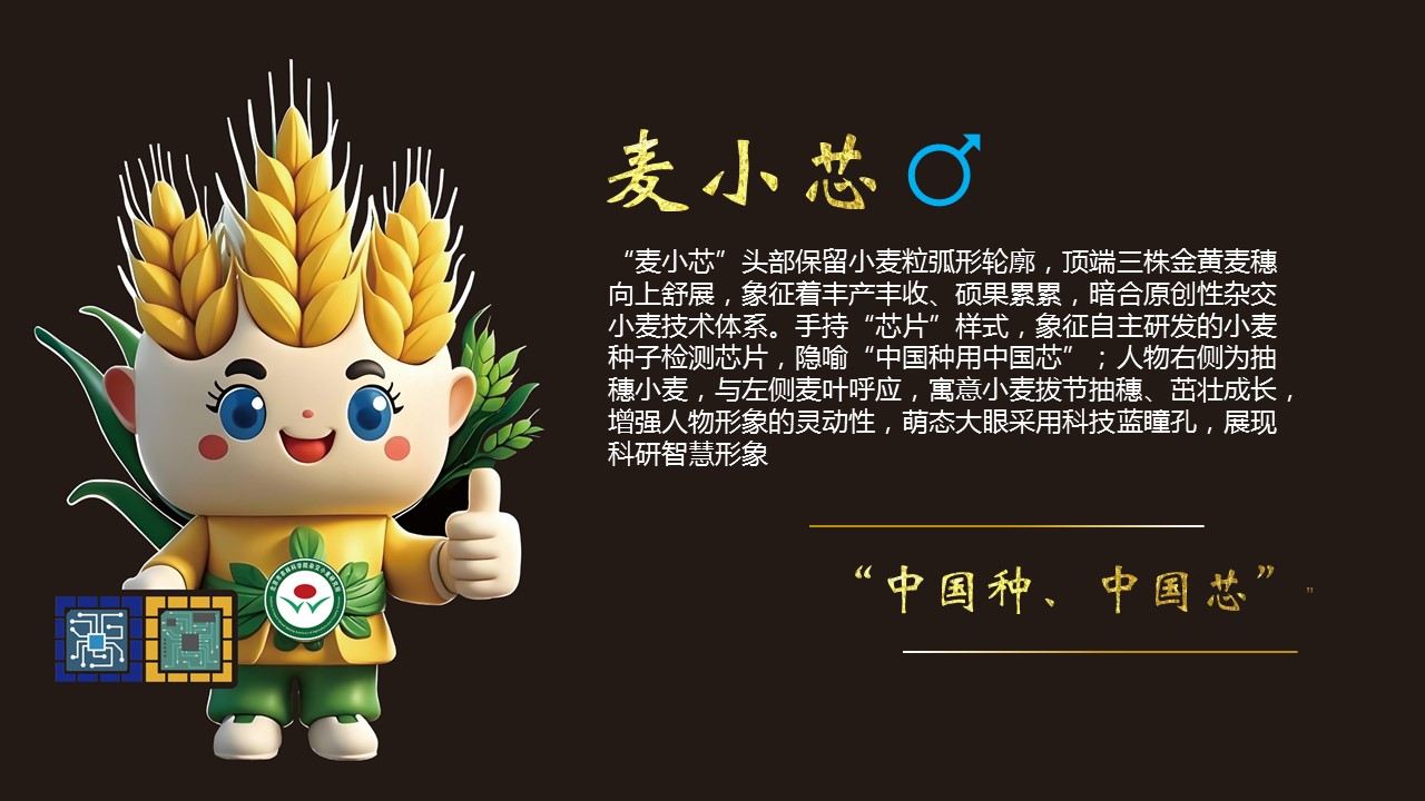 吉祥物介绍页-麦小芯.jpg 吉祥物介绍页-麦小芯.jpg