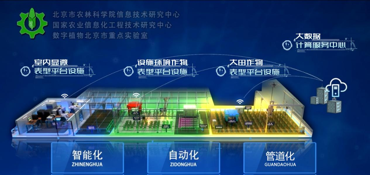 图片17.png 图片17.png