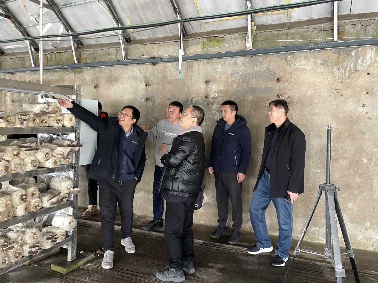 图片11.png 图片11.png