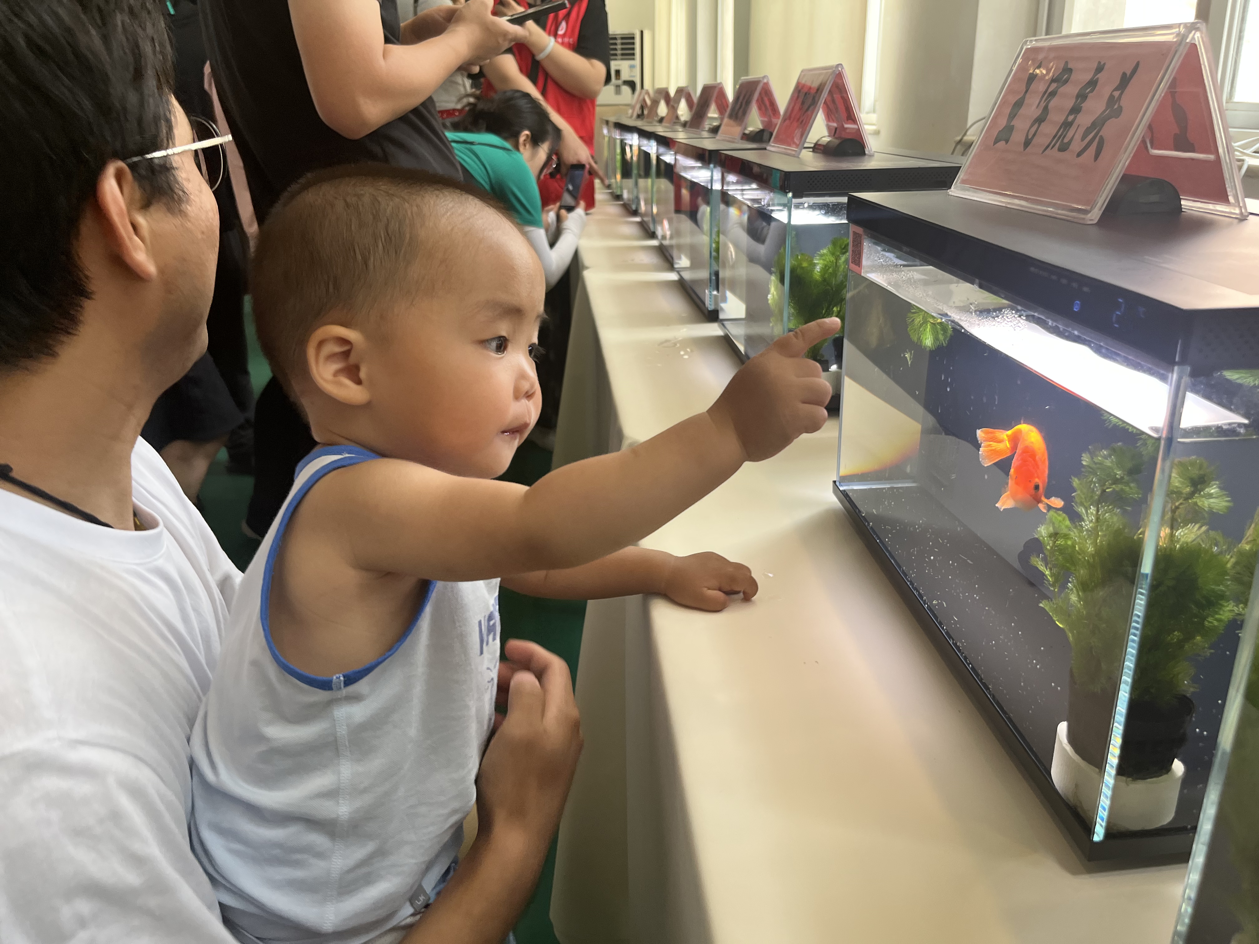 微信图片_20240624160016.jpg 微信图片_20240624160016.jpg