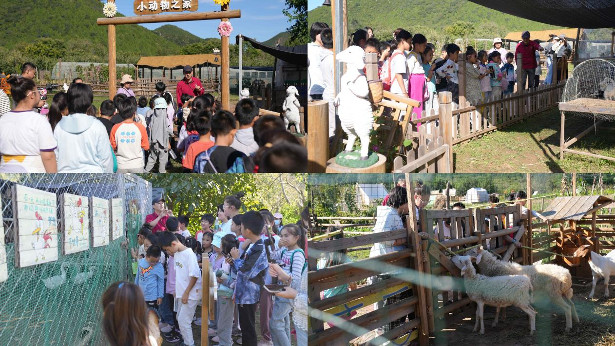 小动物之家.png 小动物之家.png