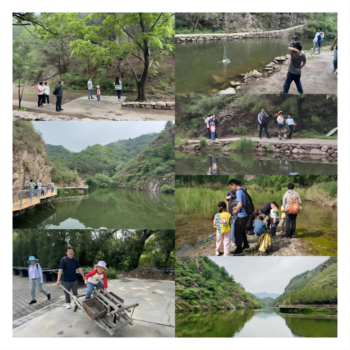 图片4.png 图片4.png