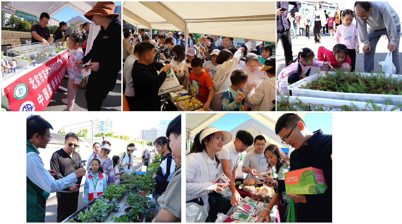 屏幕截图11.png 屏幕截图11.png